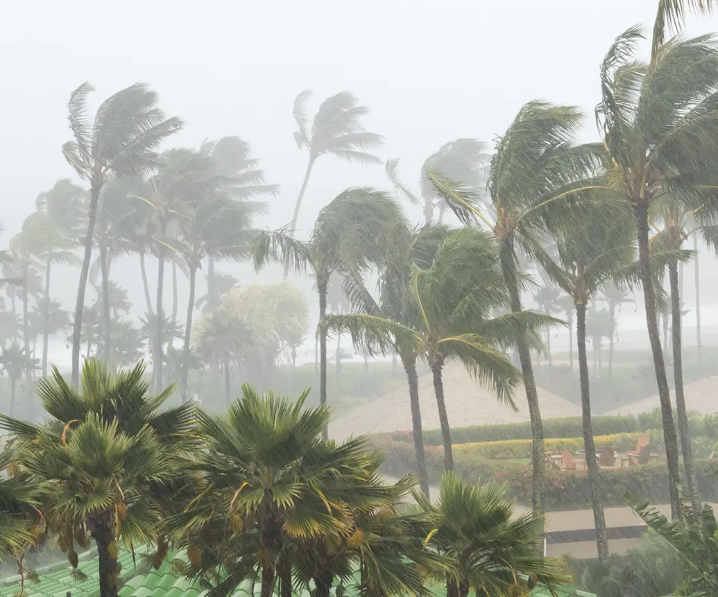 CLAIMS PACIFIC CLAIMS FOR DAMAGES