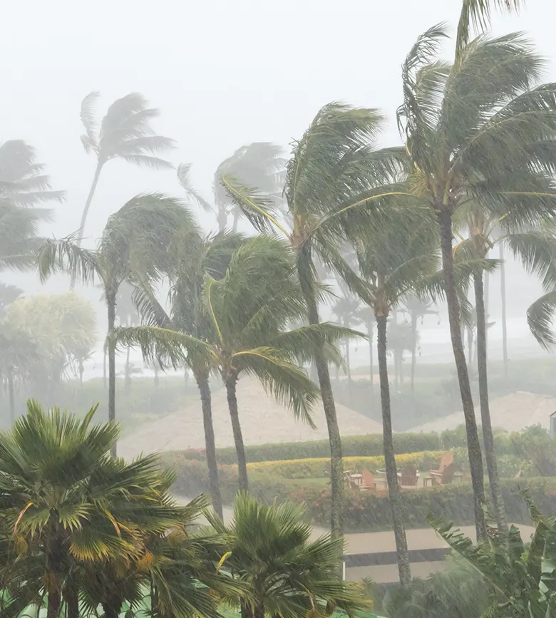 reclamos de daños por tormenta o huracán en florida